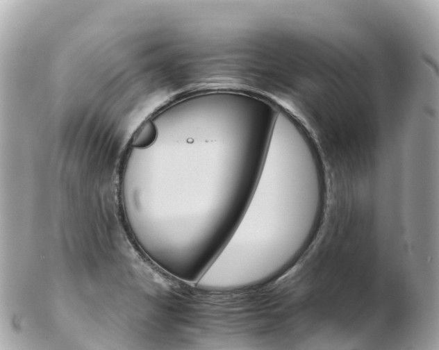 X0000103311325200808291144