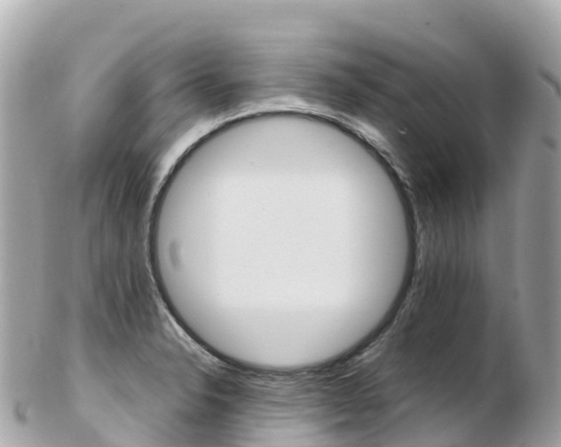 X0000103311326200808291144