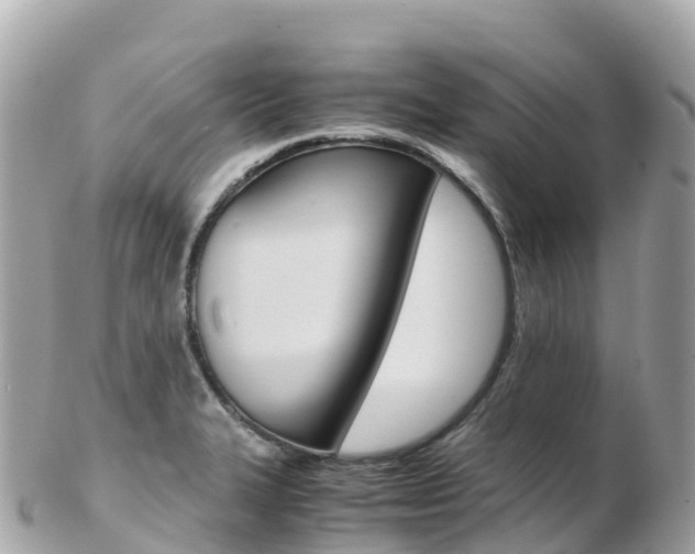 X0000103311327200808291144