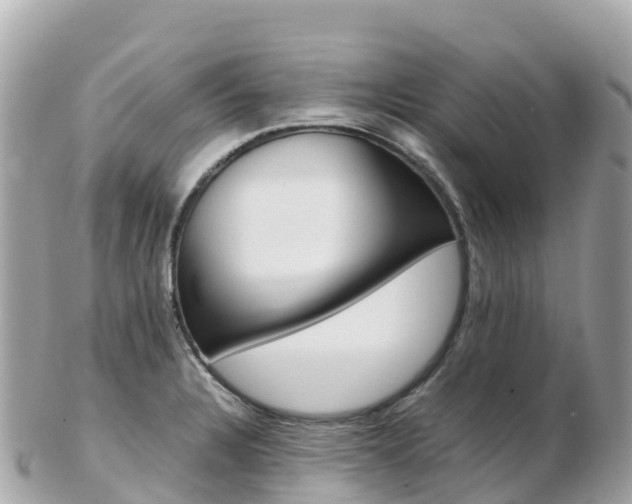 X0000103311328200808291144