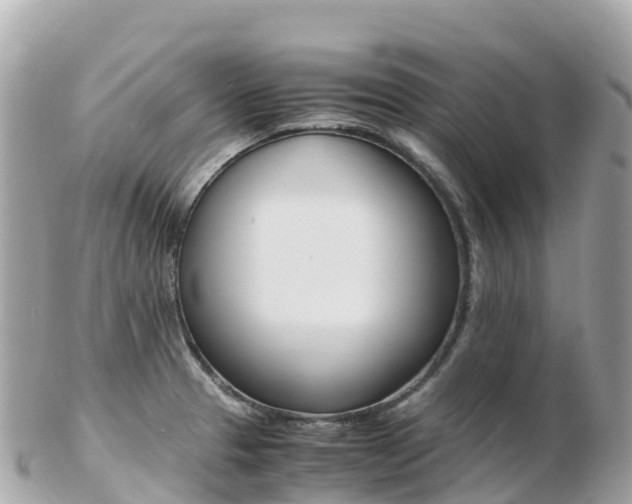 X0000103311329200808291144