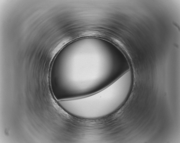 X0000103311330200808291144