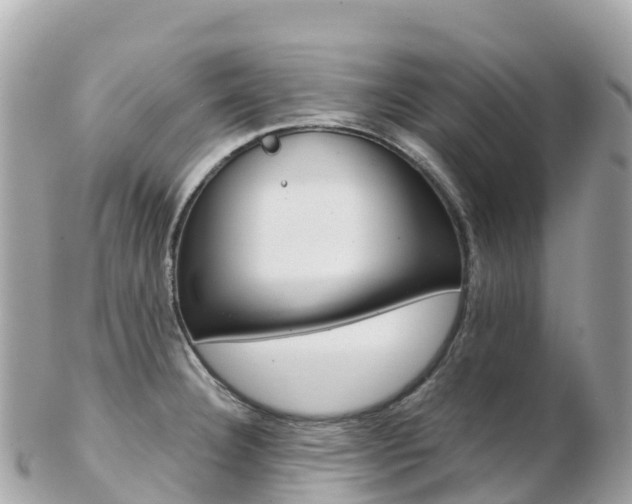 X0000103311332200808291144