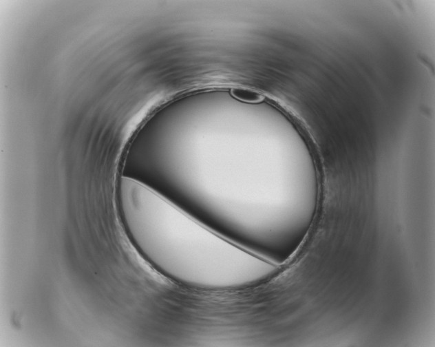 X0000103311333200808291144