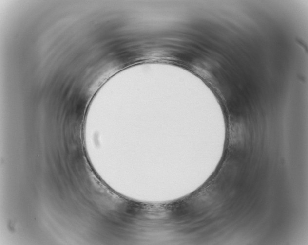 X0000103311338200808291144
