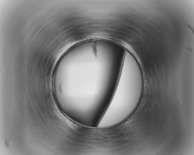X0000103311339200808291144