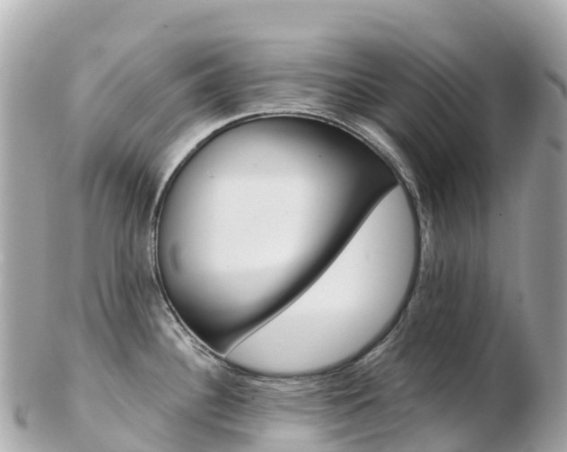 X0000103311340200808291144