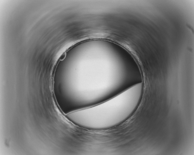 X0000103311342200808291144