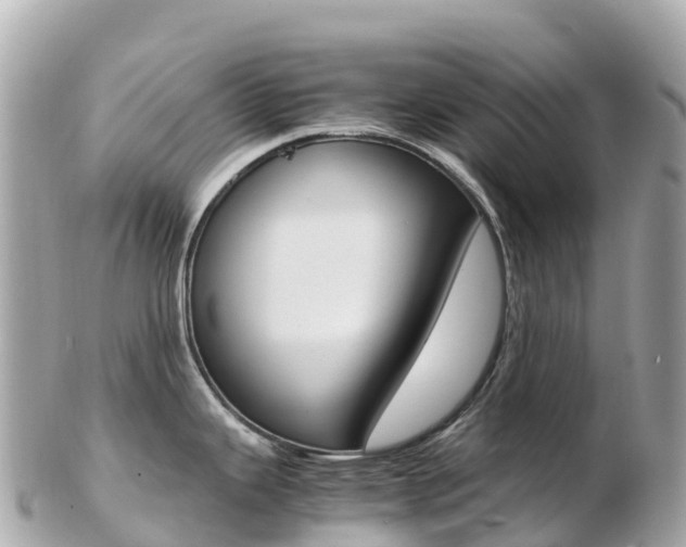 X0000103311343200808291144