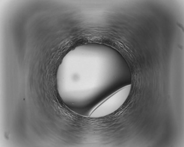 X0000103311345200808291143