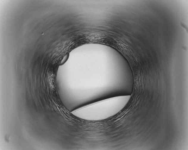 X0000103311346200808291143