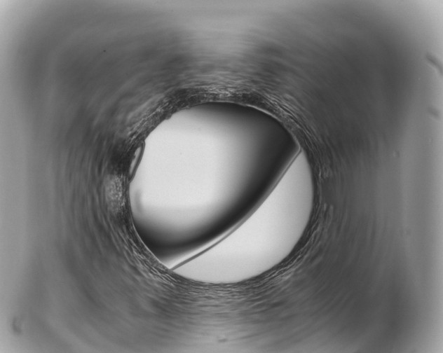X0000103311347200808291143
