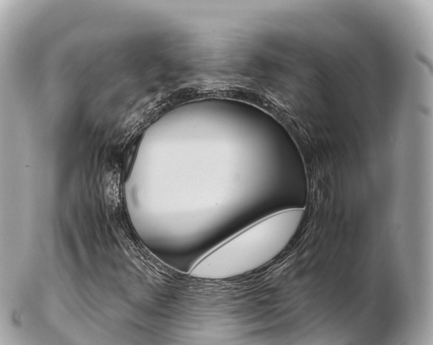 X0000103311348200808291143