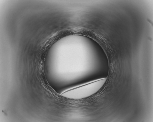 X0000103311349200808291143
