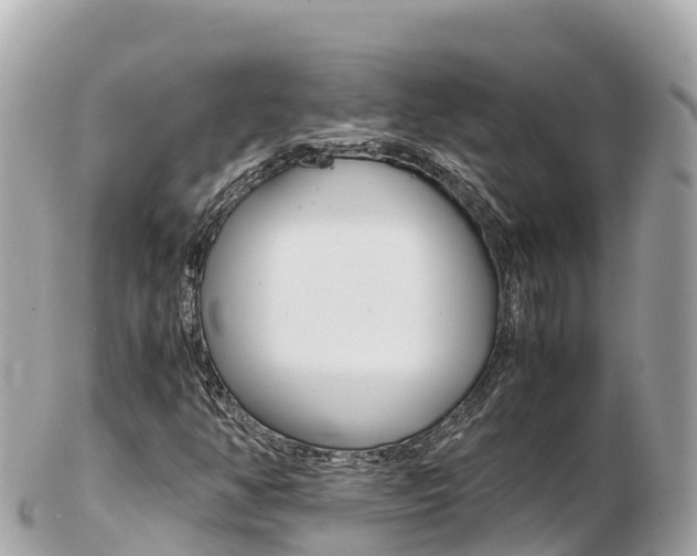 X0000103311350200808291143
