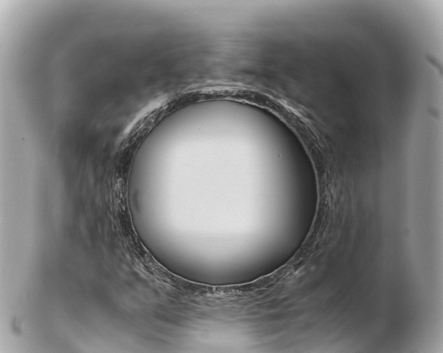 X0000103311351200808291143