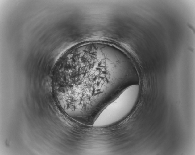 X0000103311356200808291143