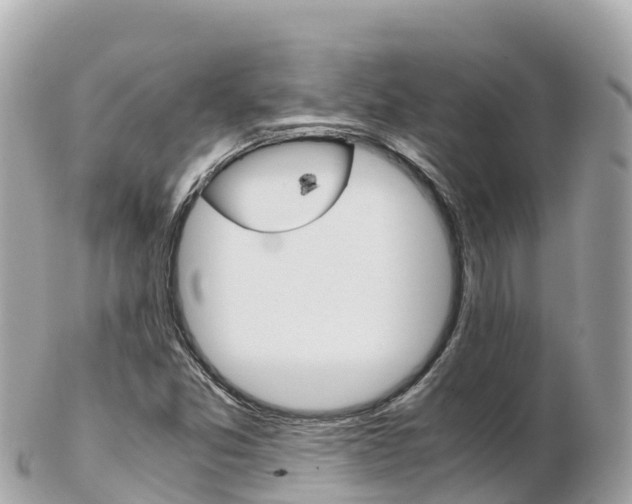 X0000103311357200808291143