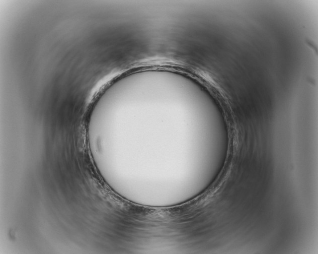 X0000103311358200808291143