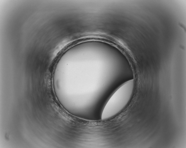 X0000103311360200808291143