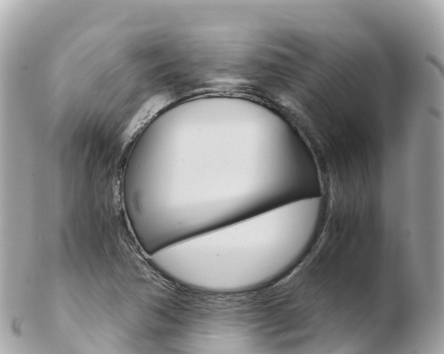 X0000103311362200808291143