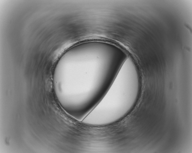 X0000103311363200808291143
