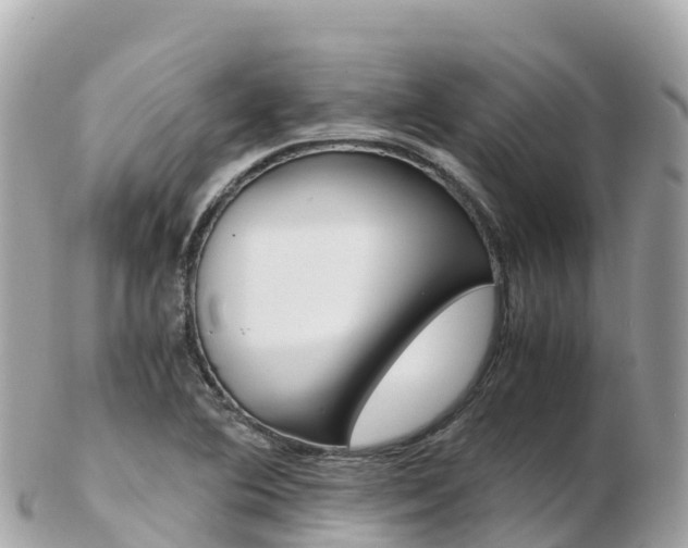 X0000103311364200808291143