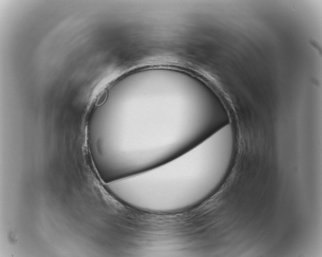 X0000103311366200808291143