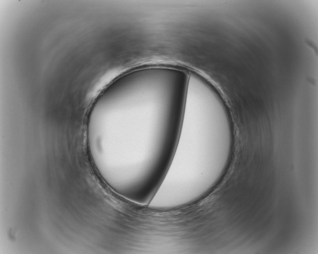 X0000103311367200808291143