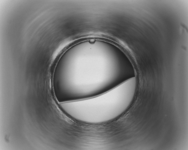 X0000103311368200808291143