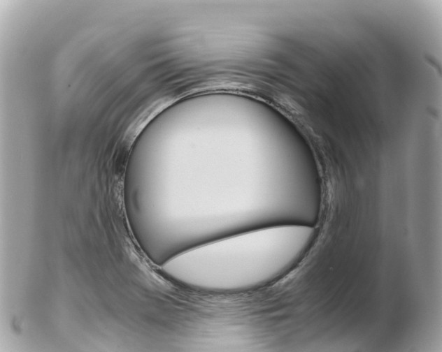 X0000103311369200808291143