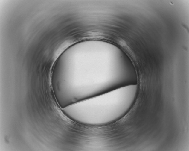 X0000103311370200808291143