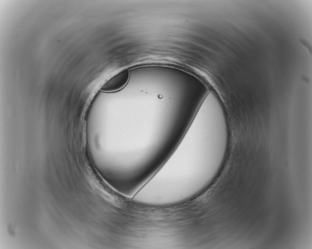 X0000103311371200808291143