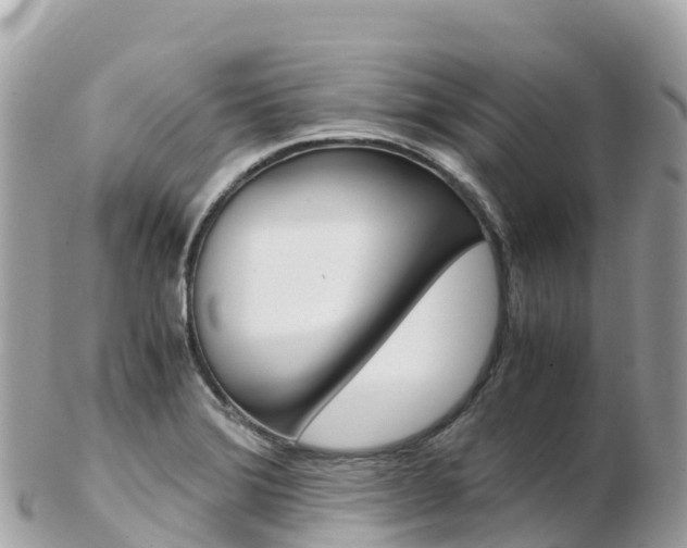 X0000103311372200808291143