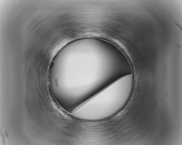 X0000103311373200808291143