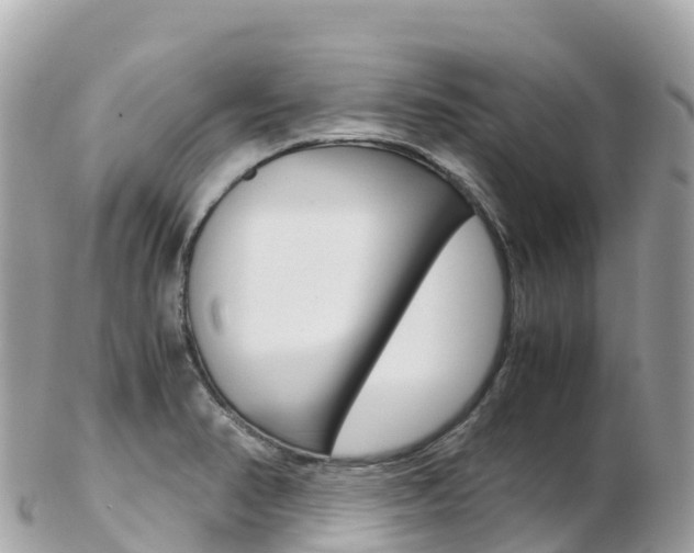 X0000103311374200808291143