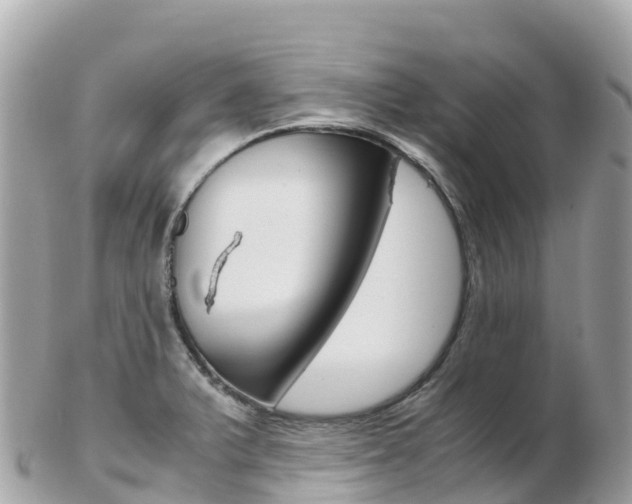 X0000103311375200808291143