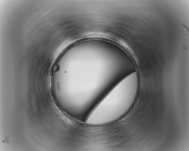 X0000103311376200808291143