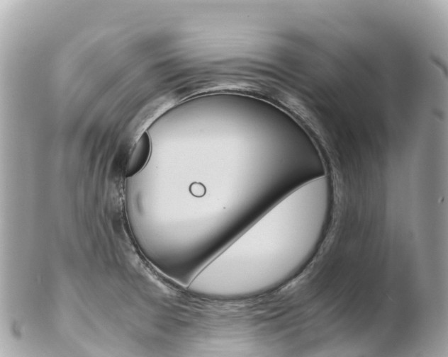 X0000103311377200808291143