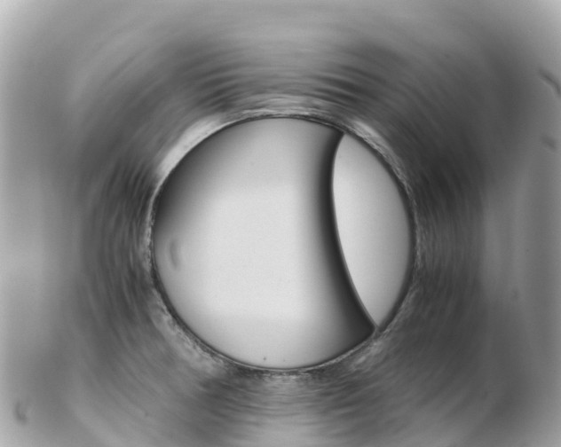 X0000103311378200808291143