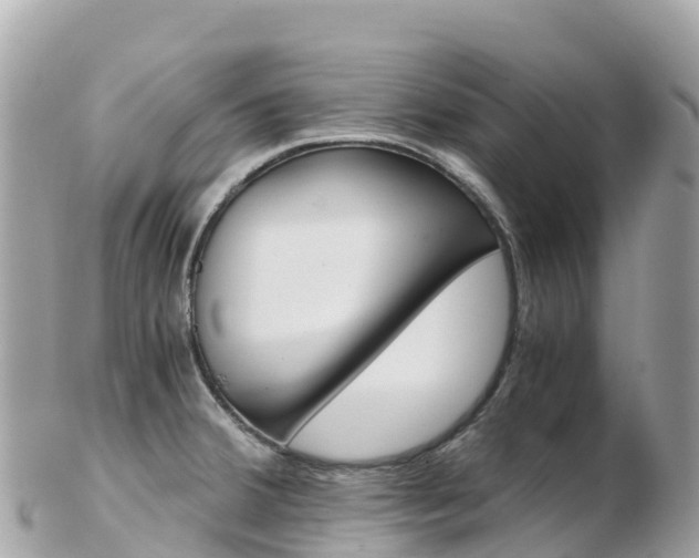 X0000103311380200808291143