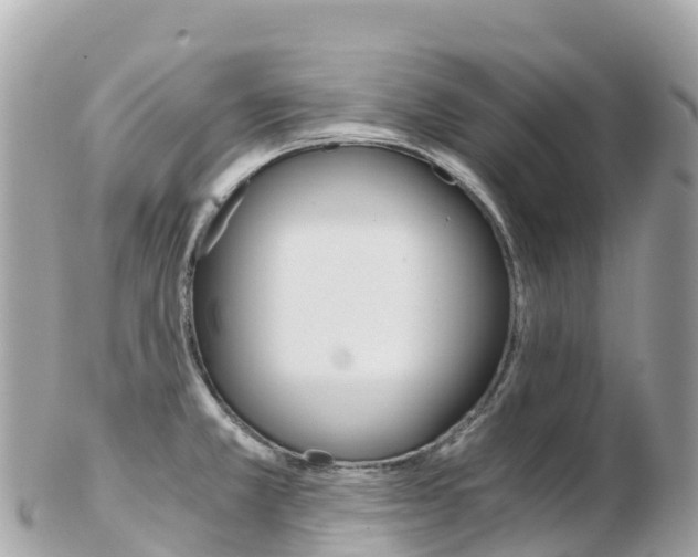 X0000103311381200808291143