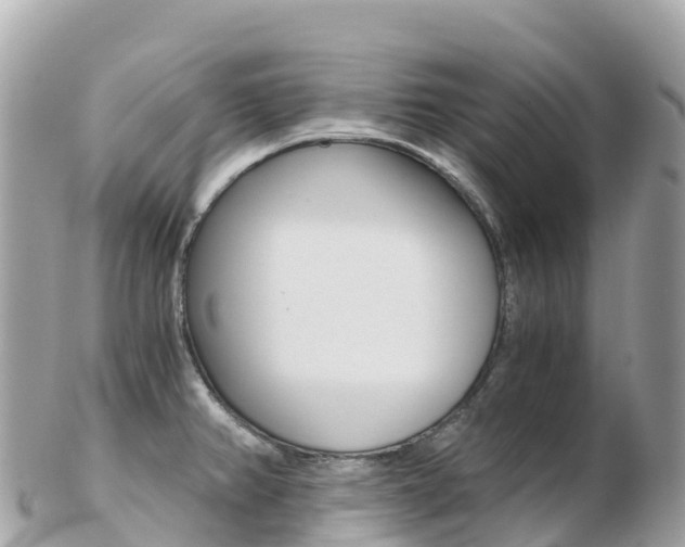 X0000103311382200808291143