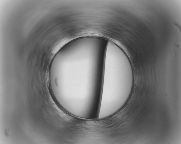 X0000103311383200808291143