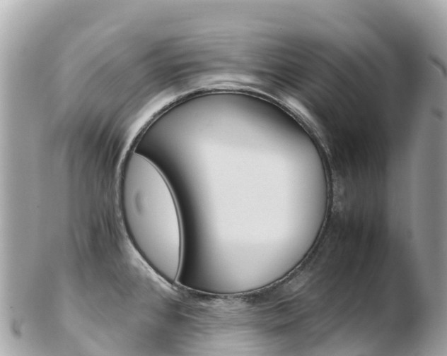 X0000103311384200808291143