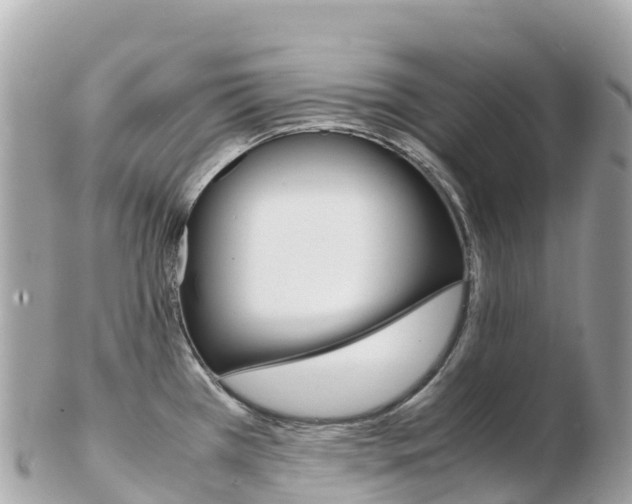 X0000103311385200808291143