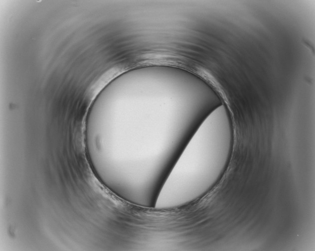 X0000103311386200808291143