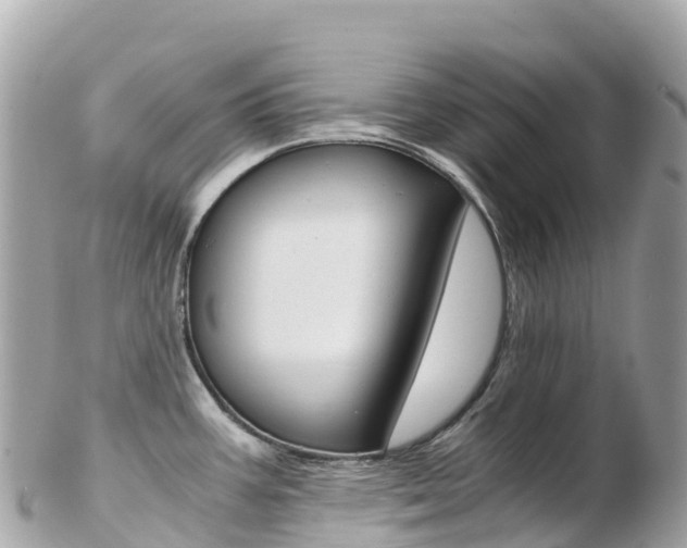 X0000103311387200808291143