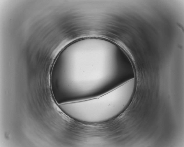 X0000103311388200808291143