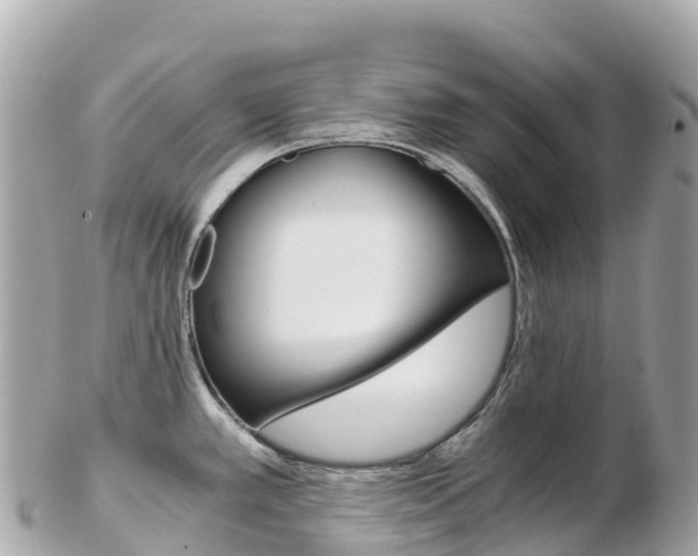 X0000103311389200808291143
